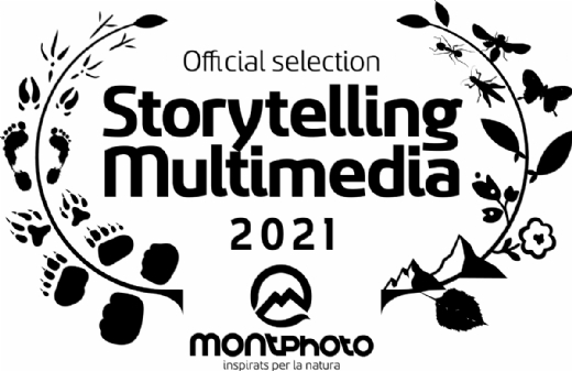 SECCIÓN OFICIAL MONTPHOTO MULTIMEDIA STORYTELLING